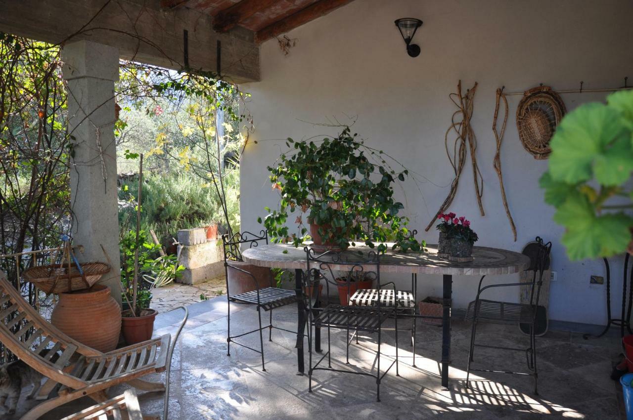 Casa D' Artista B&B オツィエーリ エクステリア 写真
