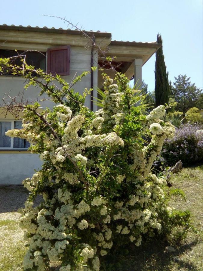 Casa D' Artista B&B オツィエーリ エクステリア 写真